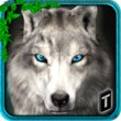 Ultimate Wolf Adventure 3D