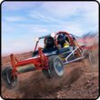 Off-Road Buggy Rally Racing