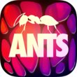 ANTS - THE GAME