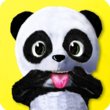 Daily Panda : virtual pet