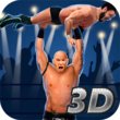 Wrestling Fighting Revolution