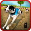 Dog Race & Stunts 2016