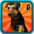 Street Dog Simulator 3D