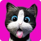 Daily Kitten : virtual cat pet MOD lot of money