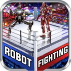 Real Robot Ring Fighting