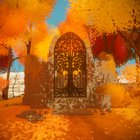 The Witness Full