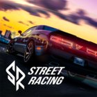 SR: Racing MOD money