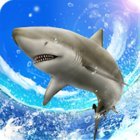 Wild Shark Fishing MOD much money