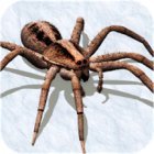 Ultimate Spider Simulator - RPG Game MOD much money