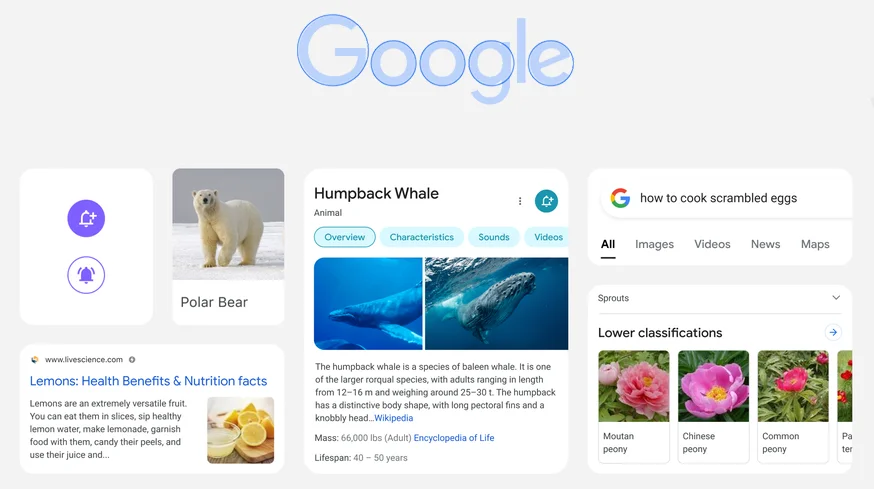 Google search will receive an improved design