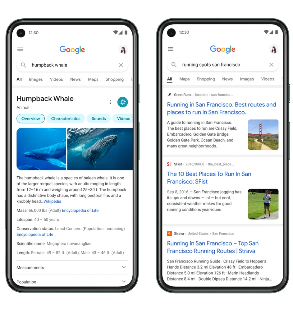 new design of mobile google search screen