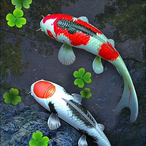 Koi Free Live Wallpaper for Android  Download  Cafe Bazaar