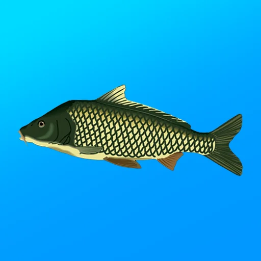 True Fishing. Fishing simulator MOD money