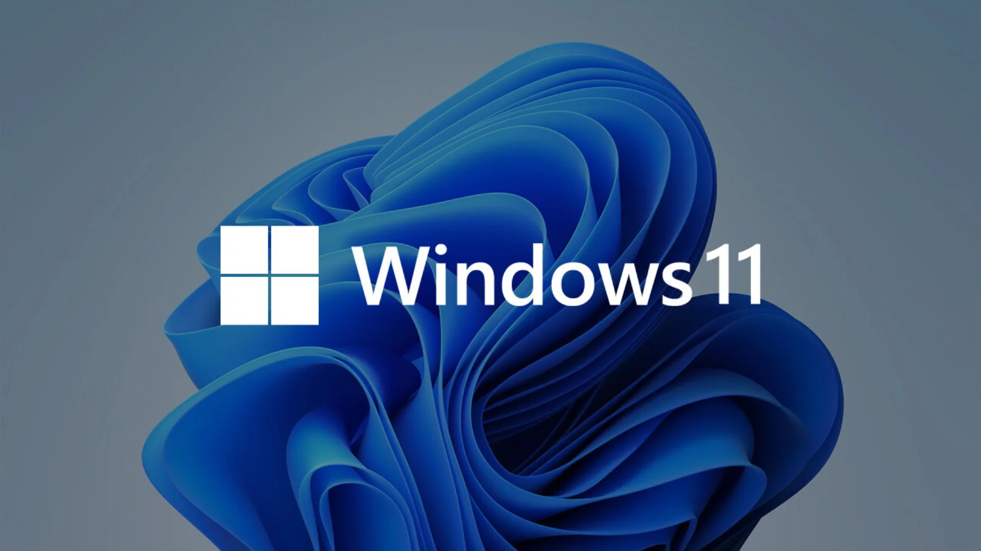 Vulnerability Windows 11 has been revealed in that exposes users to the risk of disclosure of confidential information