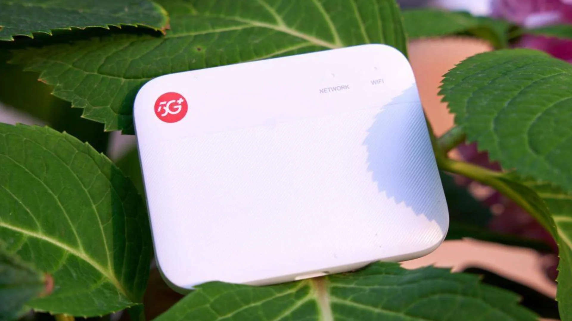 ZTE F50 5G Portable Wi Fi Androidp1
